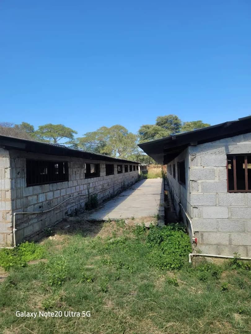 Property Thumbnail